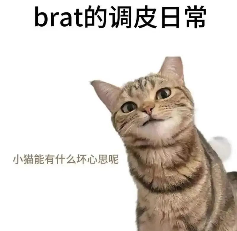 西檬之家-字母圈的aftercare是什么？深度解析BDSM实践中的关怀仪式