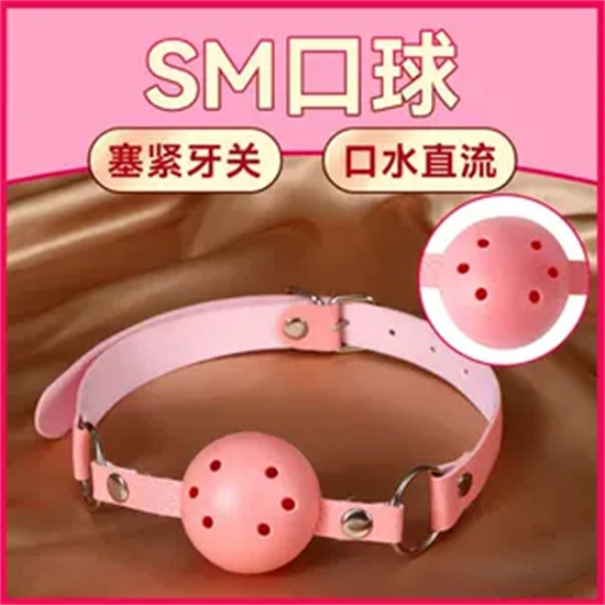 SM亚文化：实用指南