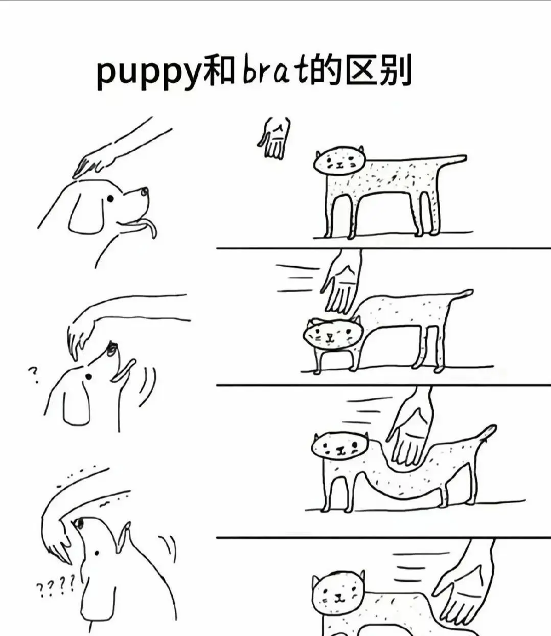 【西檬之家】字母圈M是什么？受虐者在BDSM中的角色解析