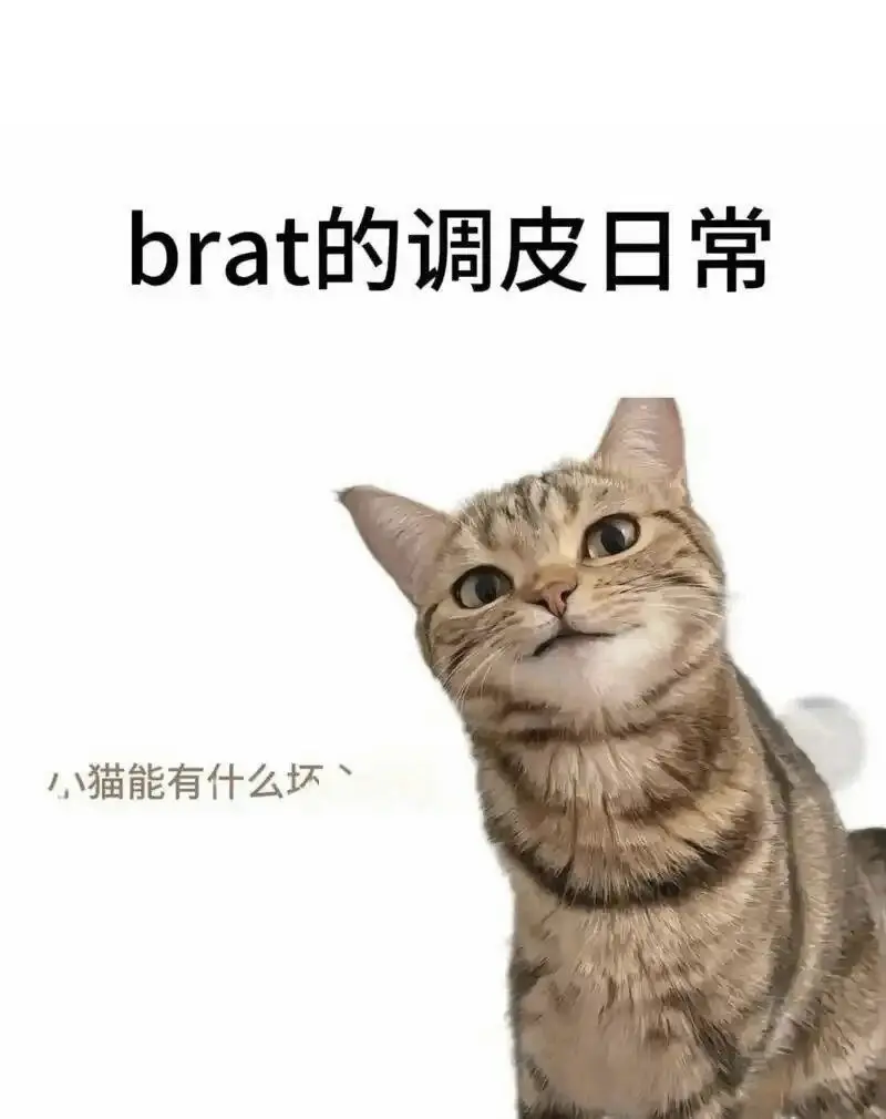 西檬之家-BDSM中的S属性解析：从术语理解到安全实践