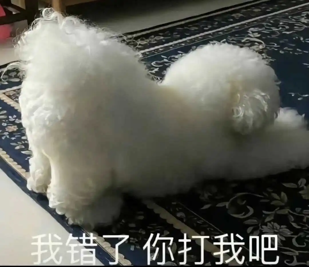 西檬之家-字母圈k8猫系指南：新人如何融入猫系角色扮演